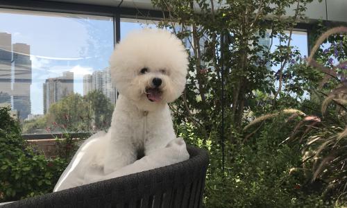 ברוכים הבאים!